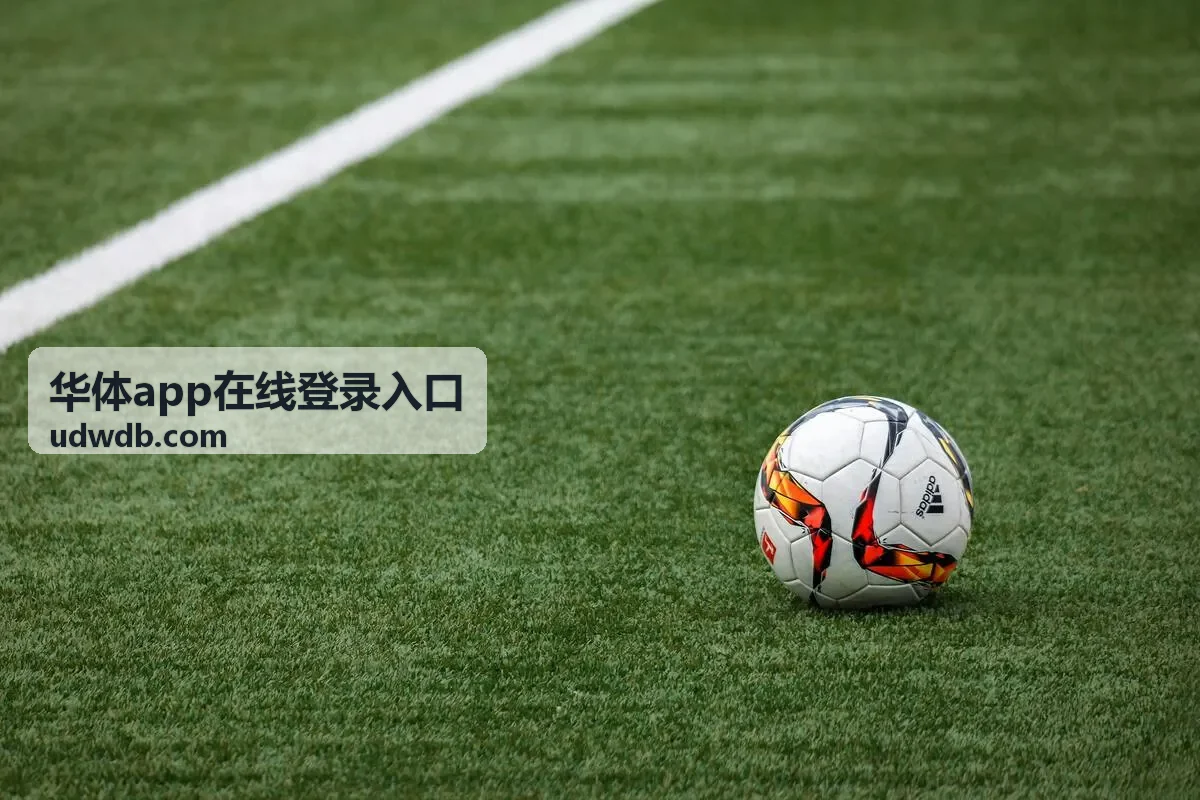华体app在线登录入口验证信息接收排查示意图