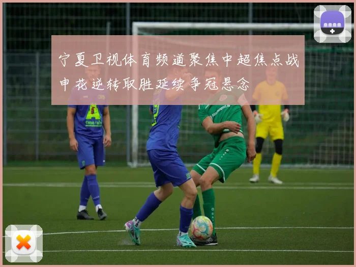 宁夏卫视体育频道聚焦中超焦点战申花逆转取胜延续争冠悬念