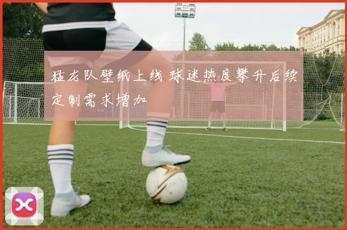 猛龙队壁纸上线 球迷热度攀升后续定制需求增加