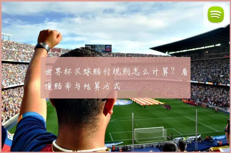 世界杯买球赔付规则怎么计算？看懂赔率与结算方式