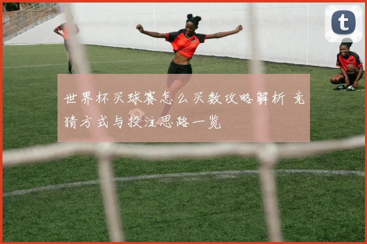 世界杯买球赛怎么买数攻略解析 竞猜方式与投注思路一览