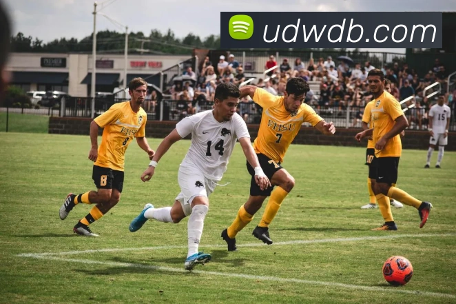 App Interface Preview